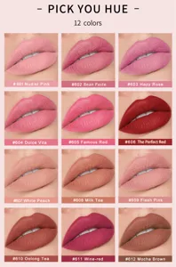 Matte lipstick makeup set featuring 12 long-lasting nude and vibrant shades for daily wear.