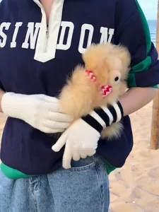 Japanischer Stil Winter Touchscreen gestreifte Handschuhe fuer Studenten Detailansicht