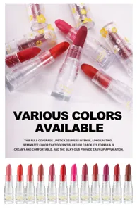 Handaiyan Samt matt Lippenstift 12 Farben Set, langanhaltendes wasserdichtes Make-up.