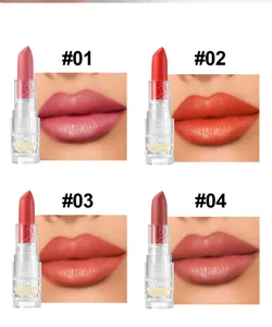 Handaiyan Samtmatte Lippenstift Details mit vier Nuancen #01 bis #04 und Lippen-Swatches.
