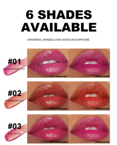 Matte and moisturizing lip gloss with 6 universal shades, long lasting liquid lipstick tint.