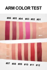 Matte waterproof lip gloss set arm swatch detail image showing twelve vibrant shades clearly.