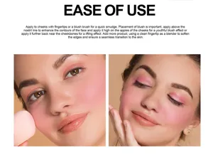 Handaiyan dual-color blush palette detail instruction showing professional makeup application steps.