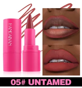 Handaiyan 2-in-1 waterproof matte lipstick and lip liner pencil, shade 05 Untamed, long wear.