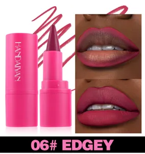 Matte lip liner pencil in shade 06 Edgey, long-lasting waterproof dual-use makeup detail view.