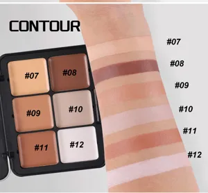 6-color contour concealer palette matte cream face shading makeup arm swatch display