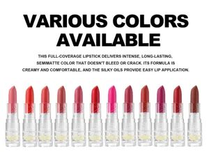 Matte lipstick set long lasting waterproof moisturizing vibrant colors smooth finish makeup