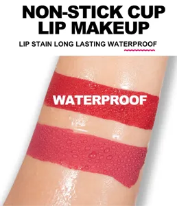Matte waterproof lip gloss set lip stain swatch detail view, long lasting non stick cup formula.
