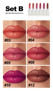 Handaiyan matte lipstick set of 6 waterproof long lasting velvet lip makeup shades