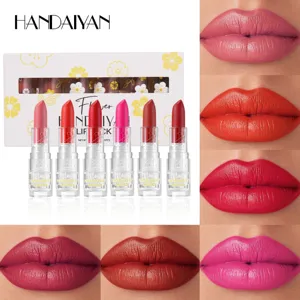 Handaiyan Matte Lipstick Waterproof Long Lasting Moisturizing Velvet Nude Lip Makeup Floral Transparent Tube Lip Cosmetics Gift
