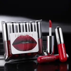 Capsule Liquid Lip Gloss Waterproof Long Lasting Matte Lip Tint Makeup Kit For Women Daily Beauty