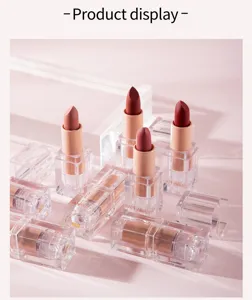 Matte lipstick makeup long-lasting waterproof nude lipstick with clear square tube design.