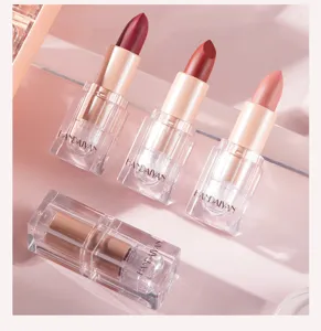 Matte nude lipstick waterproof long lasting makeup smooth texture moisturizing lips