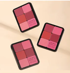 Detail shot of 6-color blush contour palette in black metal case with matte texture.