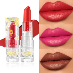 Rouge à Lèvres Mat Velours Imperméable Longue Durée Hydratant Floral Tube Transparent Maquillage Quotidien Cosmétiques Lèvres