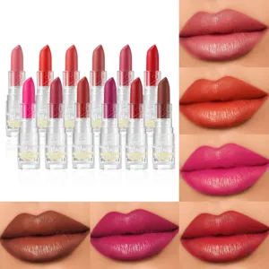 12 Couleurs Velours Mat Rouge à Lèvres Ensemble Imperméable Longue Tenue Maquillage