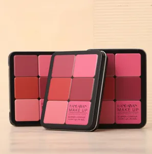 Detailed view of Handaiyan 12-color matte cream blush and contour palette in sleek tin case.