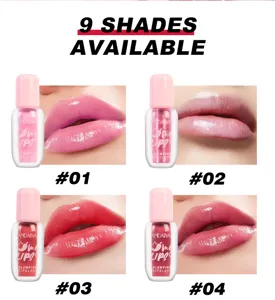 Handaiyan gloss à lèvres hydratant repulpant miroir brillant rouge à lèvres 4 teintes