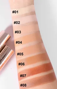 Campioni di tonalità dello stick contouring a doppia punta con otto colori per il viso.