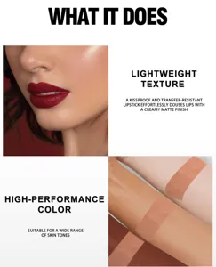 Rouge à lèvres mat longue durée imperméable liquide à texture légère maquillage pro