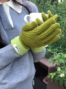 Herbst Winter Damen Touchscreen warme Handschuhe Wollstrick Handschuhe grüne Farbanpassung