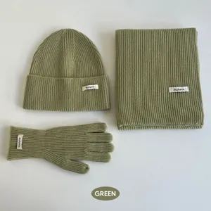 Ensemble bonnet écharpe et gants en tricot d'hiver vert sauge au style minimaliste chic