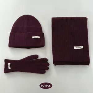 Ensemble tricoté d'hiver en trois pièces avec bonnet écharpe et gants en violet uni.