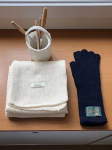 Vue detaillee de l'ensemble de gants d'hiver en laine chaude et d'echarpe tricotee unie.