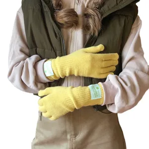 Gants en tricot chauds d'hiver élégants pour femmes, gants en laine tactiles unicolores.