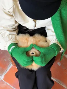 Primer plano de guantes de punto de lana verde de invierno para mujer con diseño cálido y acogedor.