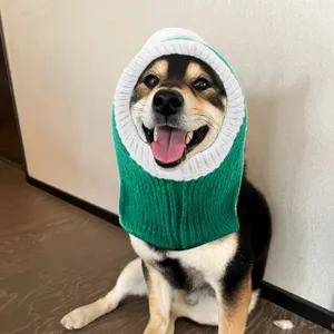Cute dog knitted snood green white pet hat warm headwear funny costume for small dogs and cats daily.