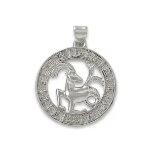 Verzilverde dierenriem teken hanger hol DIY ketting sieraden accessoire mooi.