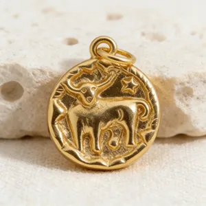 Gold Taurus zodiac coin pendant vintage necklace accessory detailed macro shot