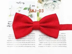 Red textured dot bow tie for men detail shot, elegant formal wear accessory for wedding grooms.
