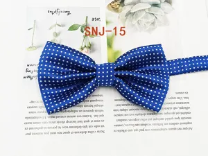 Detail view of men blue polka dot bowtie, elegant polyester formal necktie for wedding.