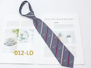 Narrow pre-tied zipper necktie in grey-blue with red stripes and star pattern for school wear.