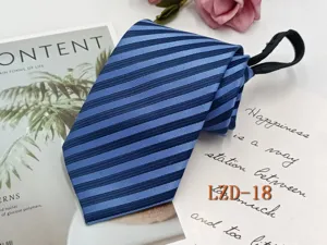 Detailed view of the blue striped zipper tie featuring a convenient pre-tied zipper design.