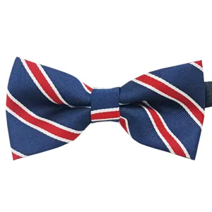 Classic striped men's bow tie in blue and red, perfect for business and casual wear.