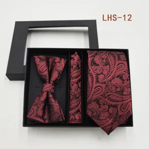 Vista detallada set de corbata pajarita y pañuelo con estampado paisley para hombre en caja regalo.