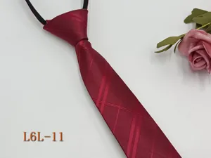 Close-up of a burgundy striped zipper tie, showing the textured fabric and neat knot detail.