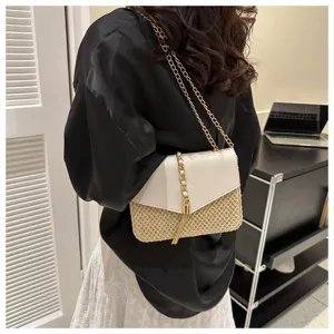 Summer straw woven shoulder bag for women, trendy chain crossbody square handbag with lock.