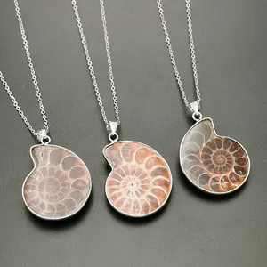 Close-up detail van natuurlijke ammoniet fossiel hanger ketting met zilveren ketting in mooie stijl.