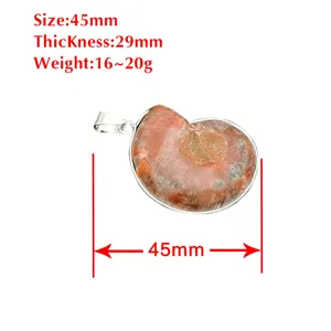 Natuurlijke ammoniet fossiel hanger ketting met zilveren montuur, 45mm sieraden.