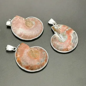 Natuurlijke ammoniet fossiel hanger schelp edelsteen DIY sieraden Europese stijl