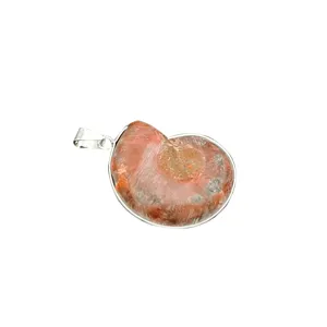 Natuurlijke ammoniet fossiel hanger vintage steen sieraden DIY ketting accessoire mooi