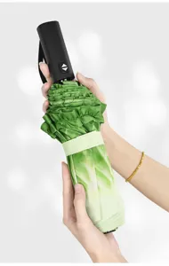 Creative cabbage folding umbrella, automatic sun rain umbrella for fashion and daily gifts.