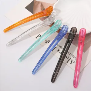 Mollette per capelli da salone professionali da 12cm, fermagli trasparenti colorati.