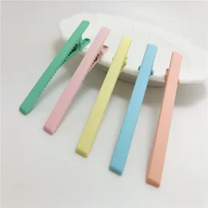 Gros plan de cinq barrettes à cheveux mates et colorées disposées sur une assiette.