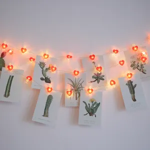 Detailansicht von LED-Kupferdraht-Lichterketten mit Herz-Fotoclips und botanischen Karten.