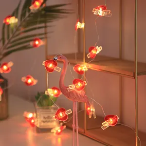 LED Lichterkette mit Fotoklammern fuer romantische Raumdekoration und Beleuchtung